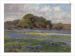 A Road through the Bluebonnets, c.1919 by Julian Onderdonk