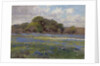 A Road through the Bluebonnets, c.1919 by Julian Onderdonk