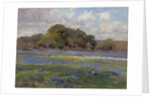 A Road through the Bluebonnets, c.1919 by Julian Onderdonk