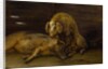 Two Pigs in a Sty, 1649 by Paulus Potter
