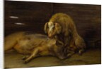 Two Pigs in a Sty, 1649 by Paulus Potter