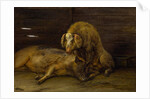 Two Pigs in a Sty, 1649 by Paulus Potter
