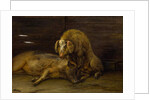 Two Pigs in a Sty, 1649 by Paulus Potter