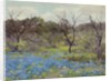 Early Spring Bluebonnets and Mesquite, 1919 by Julian Onderdonk
