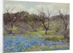 Early Spring Bluebonnets and Mesquite, 1919 by Julian Onderdonk