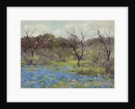 Early Spring Bluebonnets and Mesquite, 1919 by Julian Onderdonk
