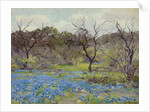 Early Spring Bluebonnets and Mesquite, 1919 by Julian Onderdonk