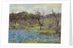 Early Spring Bluebonnets and Mesquite, 1919 by Julian Onderdonk