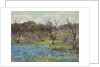 Early Spring Bluebonnets and Mesquite, 1919 by Julian Onderdonk