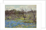 Early Spring Bluebonnets and Mesquite, 1919 by Julian Onderdonk