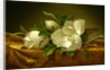 Magnolias on Gold Velvet Cloth, c.1888-90 by Martin Johnson Heade