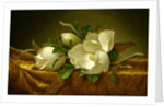 Magnolias on Gold Velvet Cloth, c.1888-90 by Martin Johnson Heade