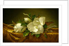 Magnolias on Gold Velvet Cloth, c.1888-90 by Martin Johnson Heade