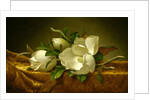 Magnolias on Gold Velvet Cloth, c.1888-90 by Martin Johnson Heade