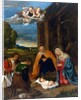 The Nativity with Shepherds, c.1519-26 by Francesco Vecellio