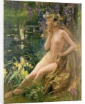 Water Nymph by Gaston Bussiere