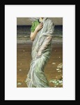 Seashells by Albert Joseph Moore