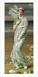 Seashells by Albert Joseph Moore