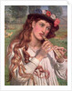Amaryllis by William Holman Hunt