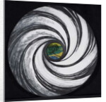 Lense Swirl with Palm Tree, 2005 by Carolyn Hubbard-Ford