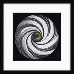 Lense Swirl with Palm Tree, 2005 by Carolyn Hubbard-Ford