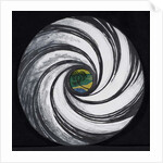 Lense Swirl with Palm Tree, 2005 by Carolyn Hubbard-Ford