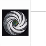 Lense Swirl with Palm Tree, 2005 by Carolyn Hubbard-Ford