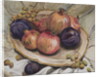 Autumn Fruits, 1992 by Carolyn Hubbard-Ford