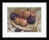 Autumn Fruits, 1992 by Carolyn Hubbard-Ford