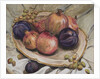 Autumn Fruits, 1992 by Carolyn Hubbard-Ford