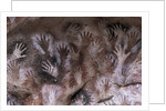 Prehistoric art : cave with hand prints 'Cave of the Hands' by Prehistoric Prehistoric