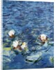 Les Nympheas: Le Matin 1916-1926 by Claude Monet