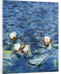 Les Nympheas: Le Matin 1916-1926 by Claude Monet