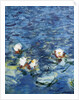 Les Nympheas: Le Matin 1916-1926 by Claude Monet