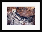 Prehistoric art: Scene of the Well: a man with a bird head and seems to fall or being pushed by a bison by Prehistoric Prehistoric