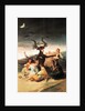 Le sabbat des sorcieres by Francisco Jose de Goya y Lucientes