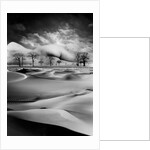 Mother, 1988 by Hag Hag