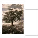 The Tree in Islington, 1978 by Hag Hag