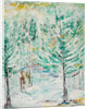Snowy Woods, 2011 by Ikahl Beckford