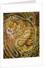 Tiger, 2014 by Ikahl Beckford