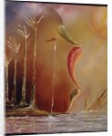 Earth Crisis, 2008 by Ikahl Beckford