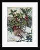 Waxwing by Raymond Booth