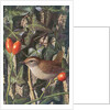 Wren in a setting of rosehip and ivy by Raymond Booth