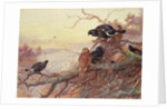 Blackgame in Winter by Archibald Thorburn