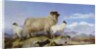 Ewe and Lambs by Richard Ansdell