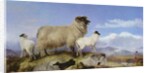 Ewe and Lambs by Richard Ansdell
