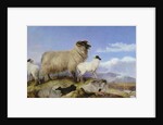 Ewe and Lambs by Richard Ansdell