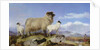 Ewe and Lambs by Richard Ansdell