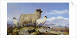 Ewe and Lambs by Richard Ansdell