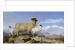 Ewe and Lambs by Richard Ansdell